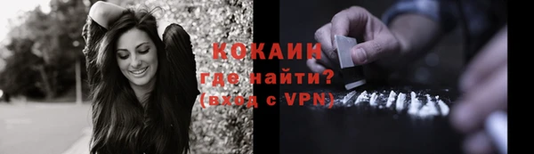 ПСИЛОЦИБИНОВЫЕ ГРИБЫ Осташков