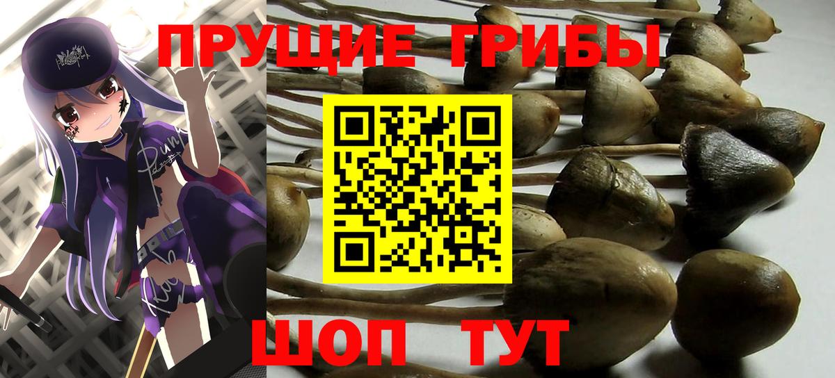 Тверь  Псилоцибиновые грибы прущие грибы  Вход с VPN  Псилоцибиновые грибы мухоморы 